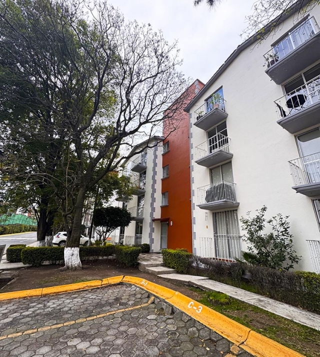 PARADISE LA HERRADURA PALO SOLO 2.jpg